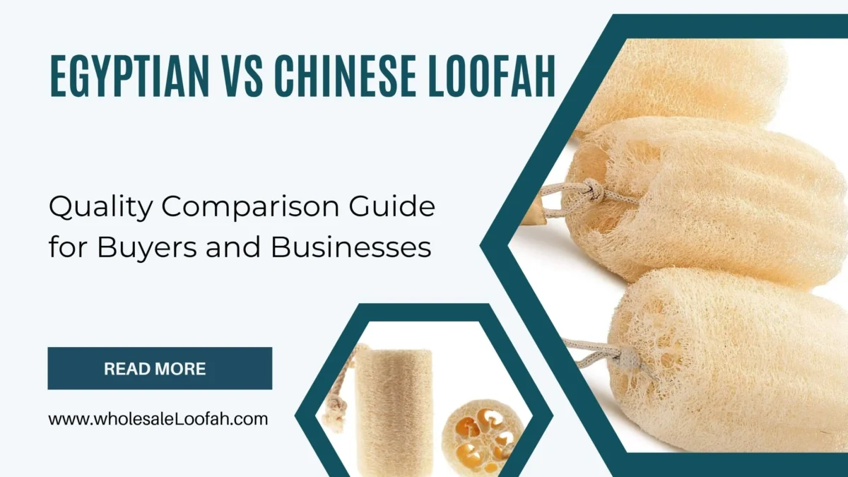 Egyptian vs Chinese Loofah: Quality Comparison Guide for Buyers and Businesses 4 Wholesale Loofah Side-by-side comparison of Egyptian vs Chinese Loofah sponges showing fiber density and quality differences