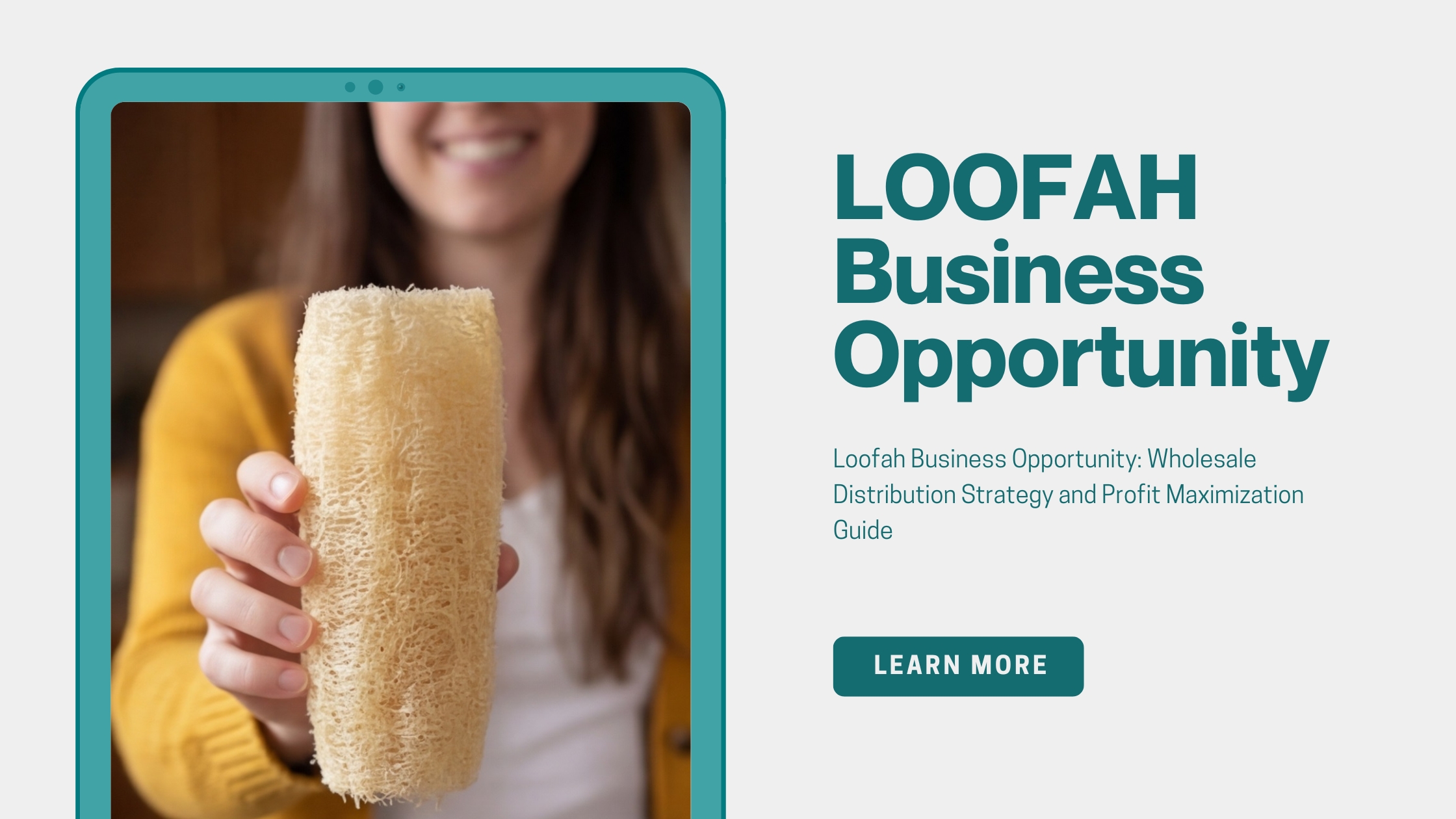 Loofah Business Opportunity Wholesale Distribution Strategy and Profit Maximization Guide
