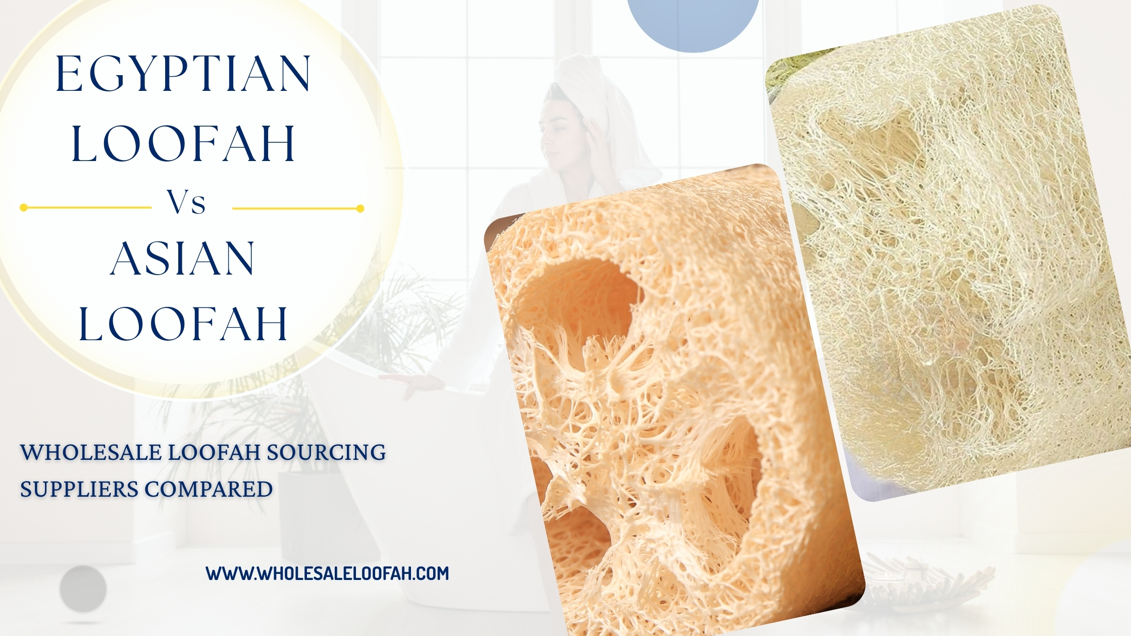 Wholesale Loofah Sourcing: Egyptian vs Asian Suppliers Compared 2 Wholesale Loofah Egyptian vs Asian Loofah Wholesale | Supplier Comparison Guide 2025
