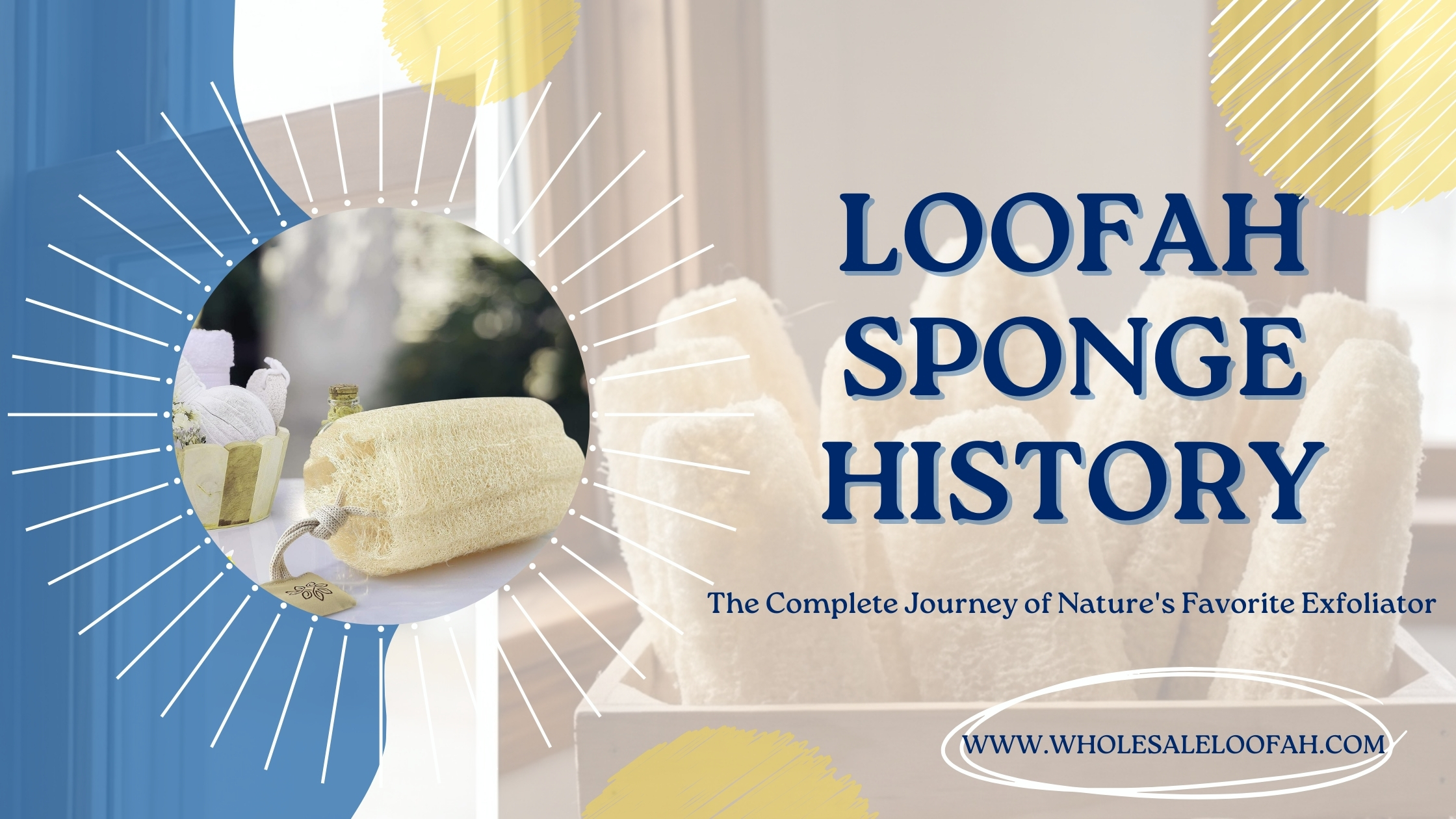 Loofah Sponge History | Complete B2B Guide for Wholesale Buyers | WholesaleLoofah