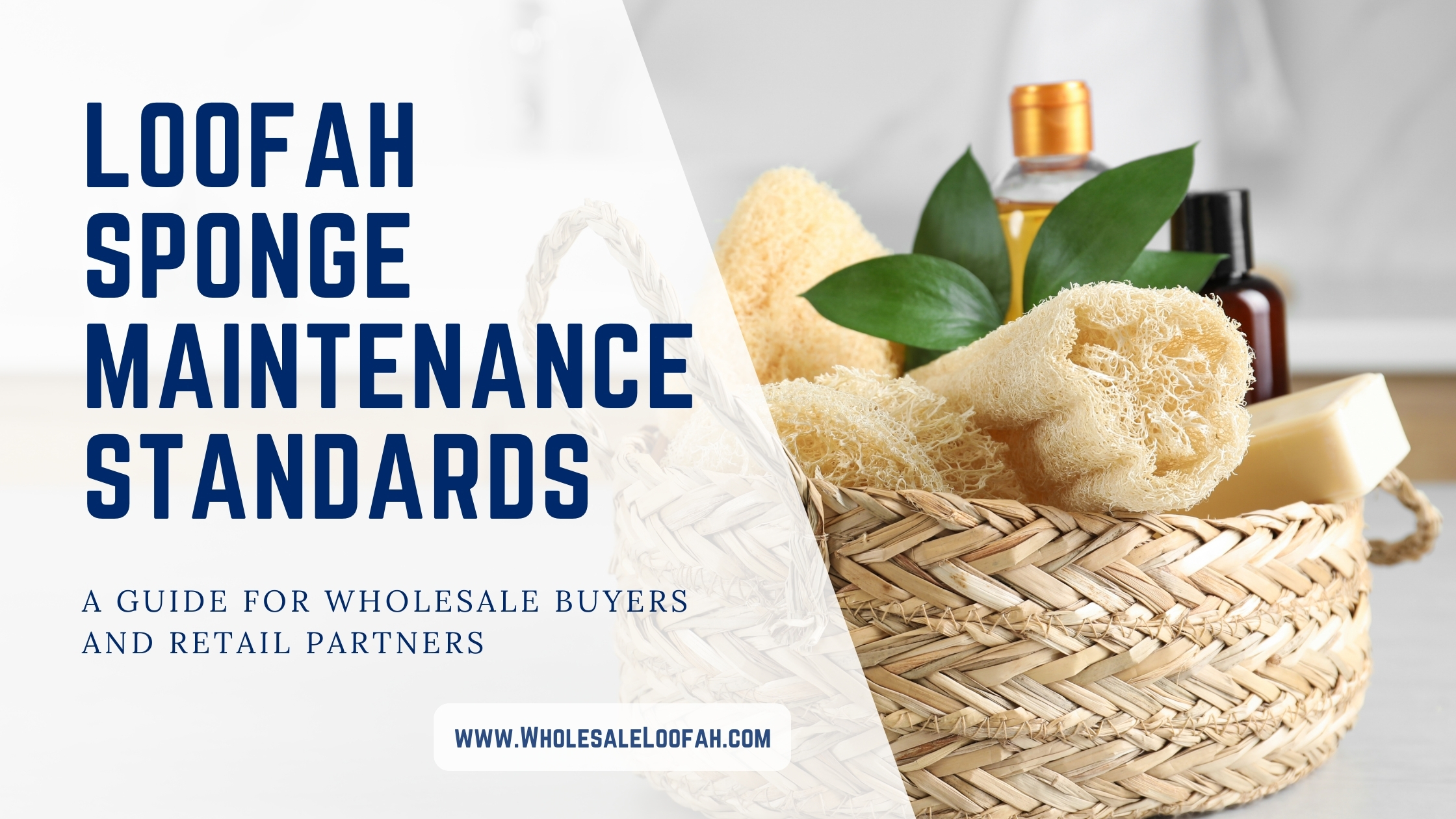 Loofah Sponge Maintenance for Wholesale Buyers | Care Standards 2025