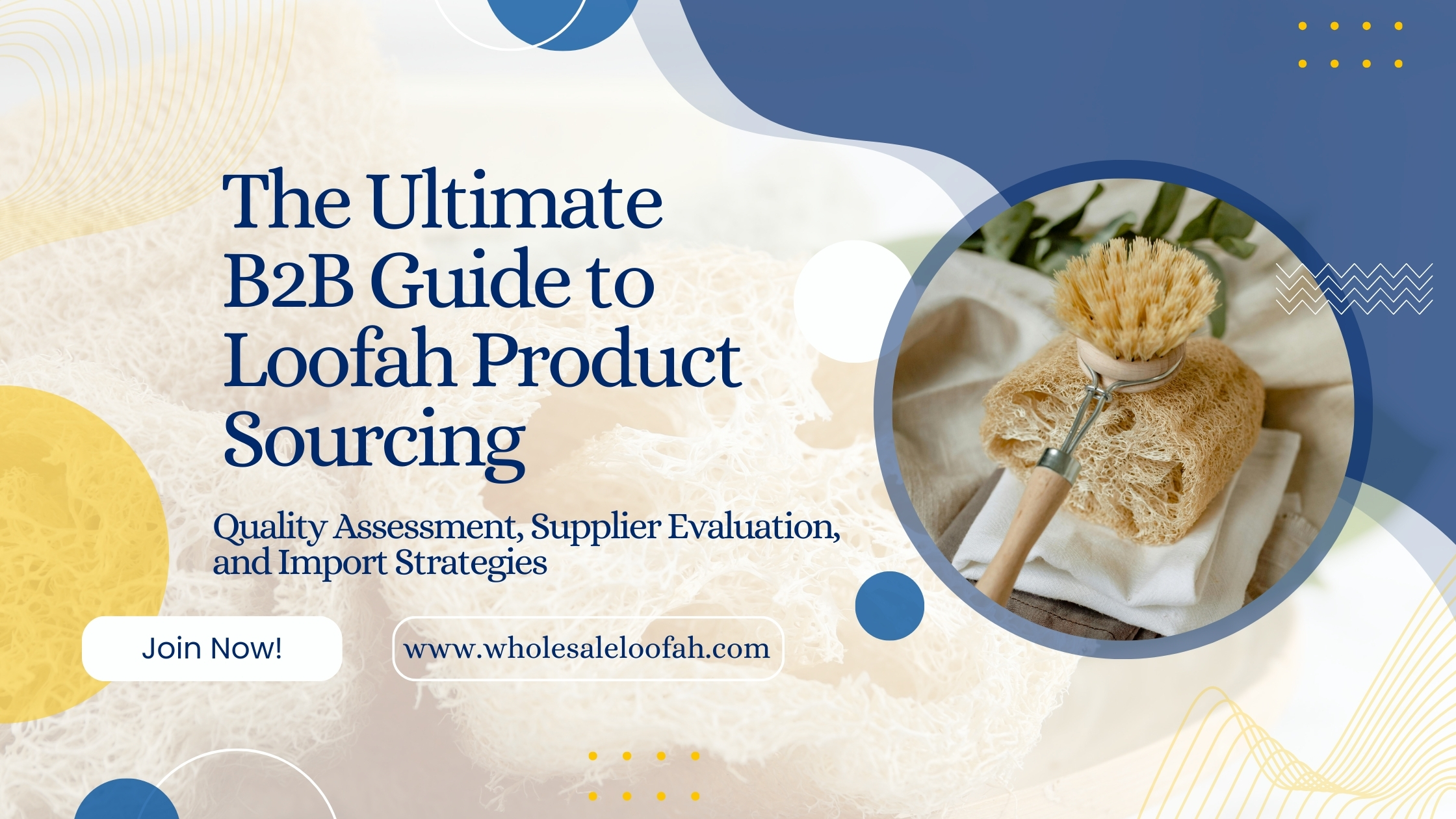 The Ultimate B2B Guide to Loofah Product Sourcing: Quality Assessment, Supplier Evaluation, and Import Strategies 2 Wholesale Loofah B2B Loofah Sourcing Guide | Wholesale Supplier Evaluation & Import Strategies