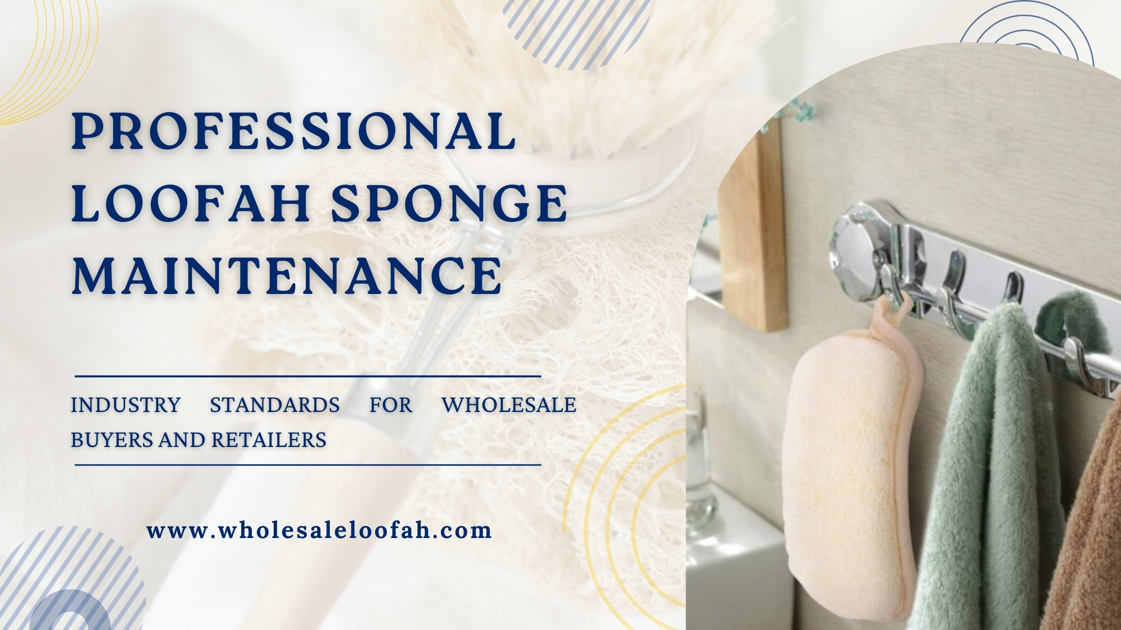Professional Loofah Sponge Maintenance: Industry Standards for Wholesale Buyers and Retailers 2 Wholesale Loofah Loofah Sponge Maintenance for Wholesale Buyers | Professional Care Guide 2025