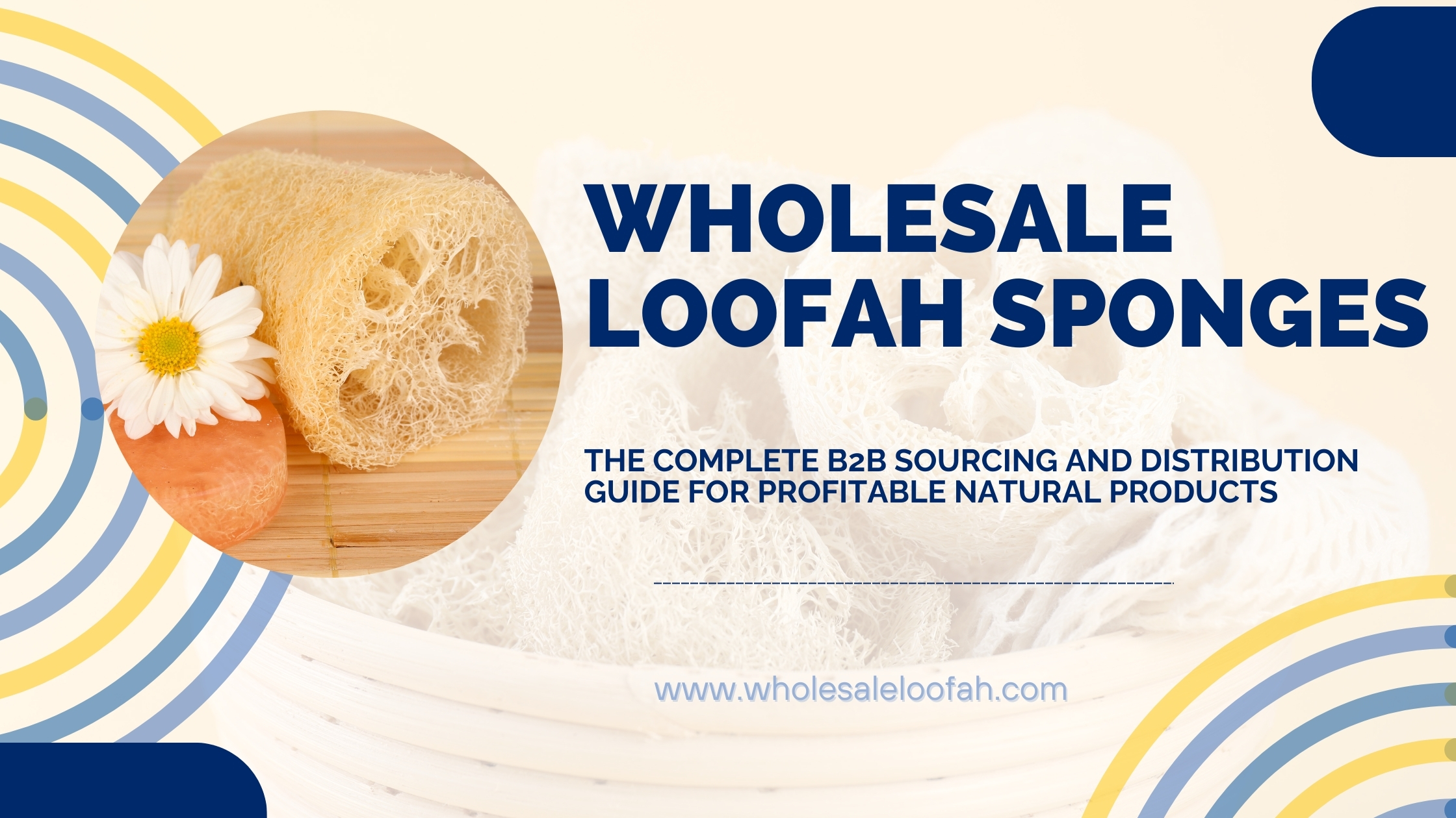 Wholesale Loofah Sponges: The Complete B2B Sourcing and Distribution Guide for Profitable Natural Products 5 Wholesale Loofah Wholesale Loofah Sponges: The Complete B2B Sourcing and Distribution Guide for Profitable Natural Products
