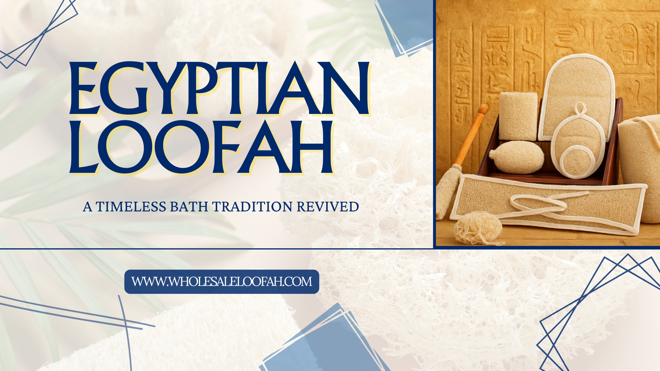 Egyptian Loofah Wholesale Guide | Sourcing & Procurement for Buyers | 2026