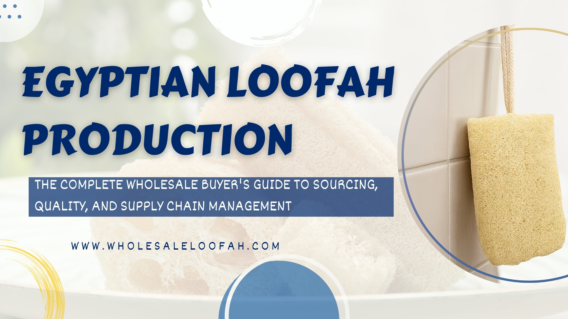 Egyptian Loofah Production | Wholesale Buyer's Sourcing Guide 2026