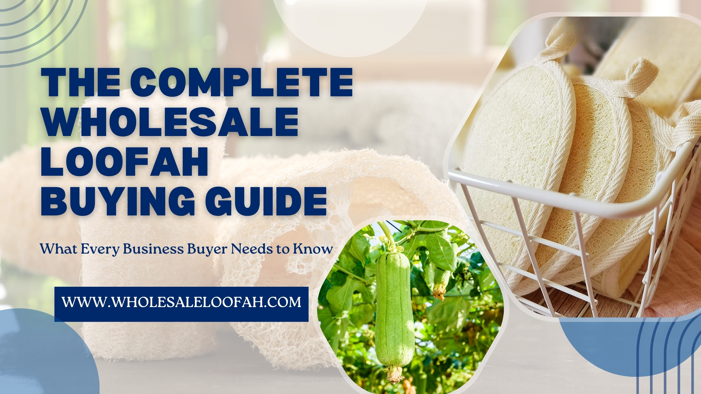 Wholesale Loofah Buying Guide | Bulk Sourcing for Business 2025