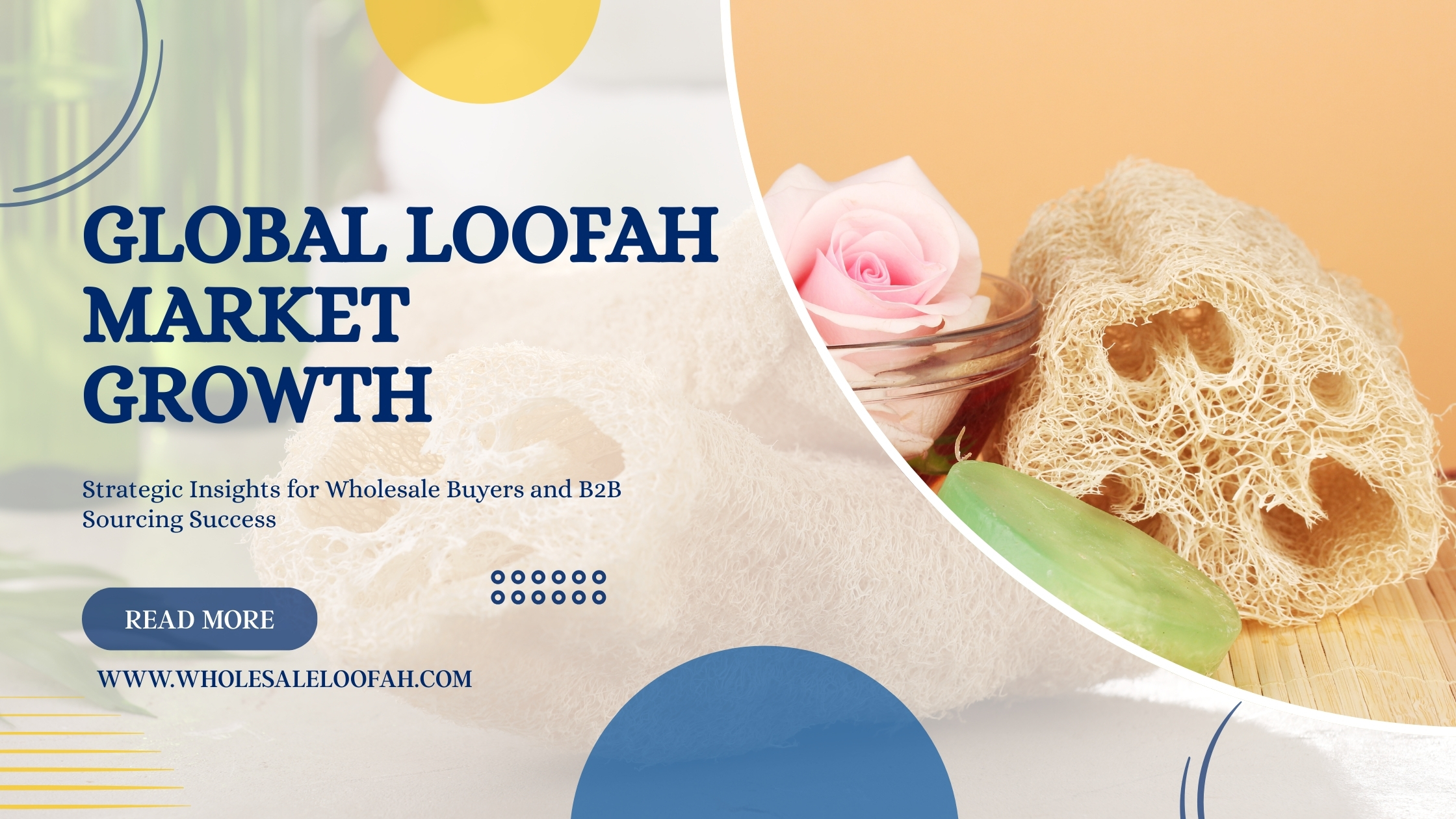 Global Loofah Market Growth | B2B Wholesale Sourcing Guide 2026