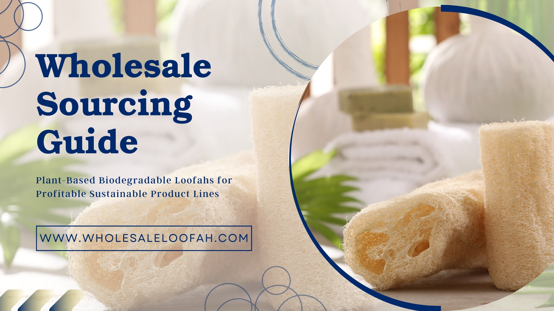 Wholesale Sourcing Guide: Plant-Based Biodegradable Loofahs for Profitable Sustainable Product Lines 2 Wholesale Loofah Wholesale Plant-Based Biodegradable Loofahs | B2B Sourcing Guide 2026