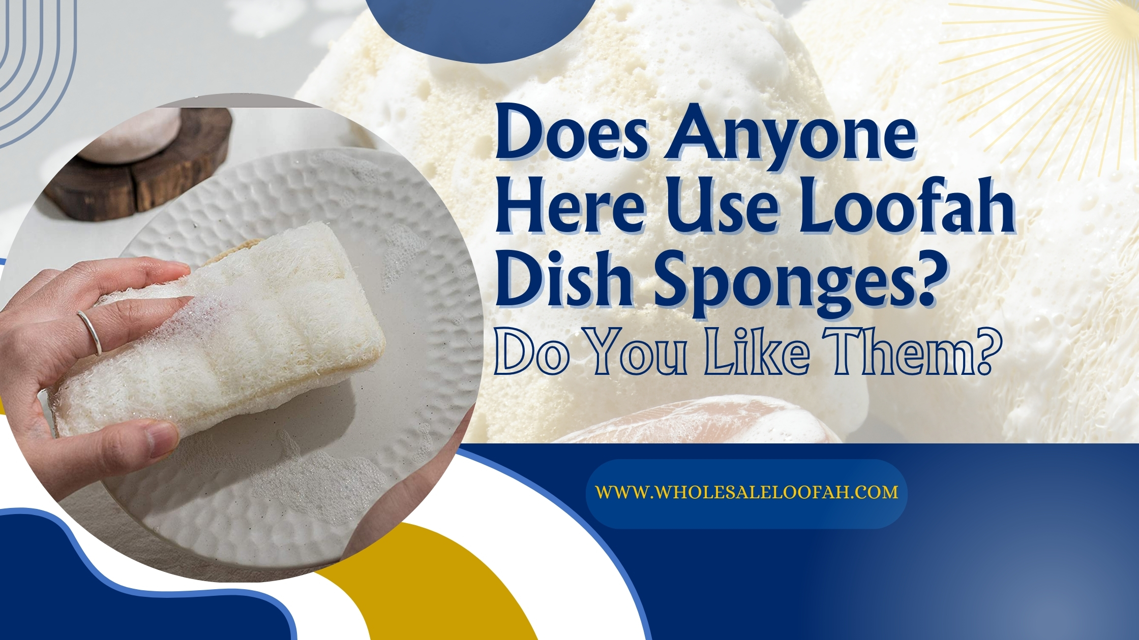 Does Anyone Here Use Loofah Dish Sponges? Do You Like Them? 2 Wholesale Loofah Use Loofah Dish Sponges | Wholesale Buyer Insights | Wholesale Loofah
