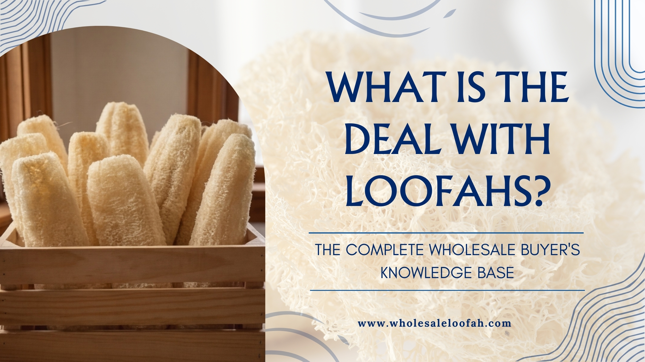 What is the Deal with Loofahs? Wholesale Buyer's Complete Guide | 2026