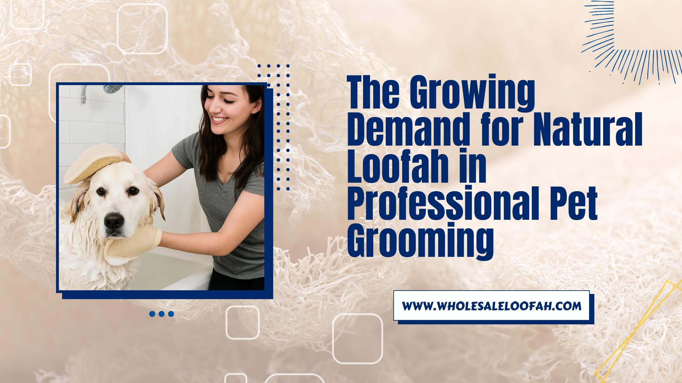 Why Pet Groomers Love Using Loofah for Exfoliation | Wholesale Sourcing Guide