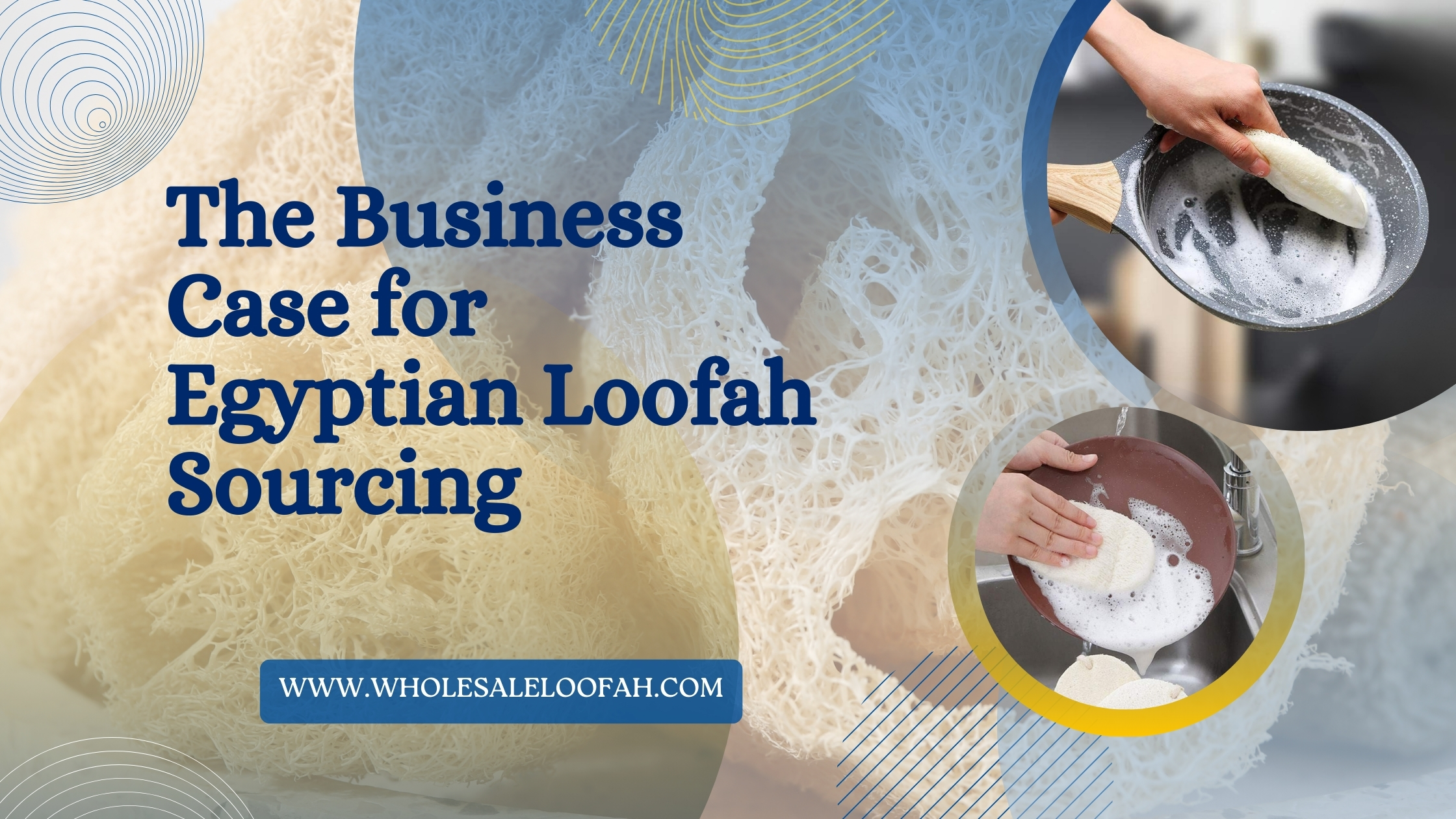 Wholesale Loofah Supplier Guide: Sourcing Premium Egyptian Loofahs for Business | 2025