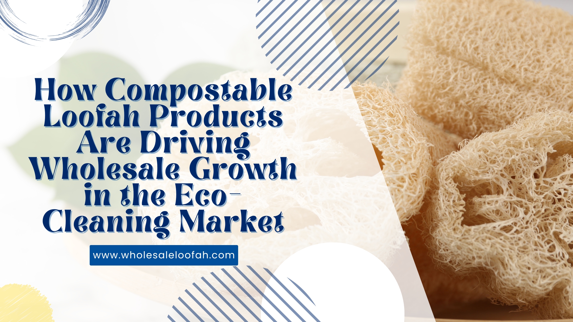 Compostable Loofah Wholesale Growth | Eco-Cleaning Market Trends | 2026