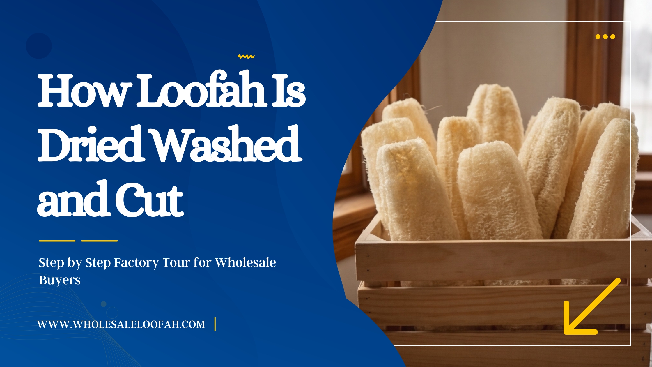 How Loofah Is Dried Washed and Cut: Step by Step Factory Tour for Wholesale Buyers 2 Wholesale Loofah How Loofah Is Dried, Washed, and Cut: Wholesale Factory Tour 2026