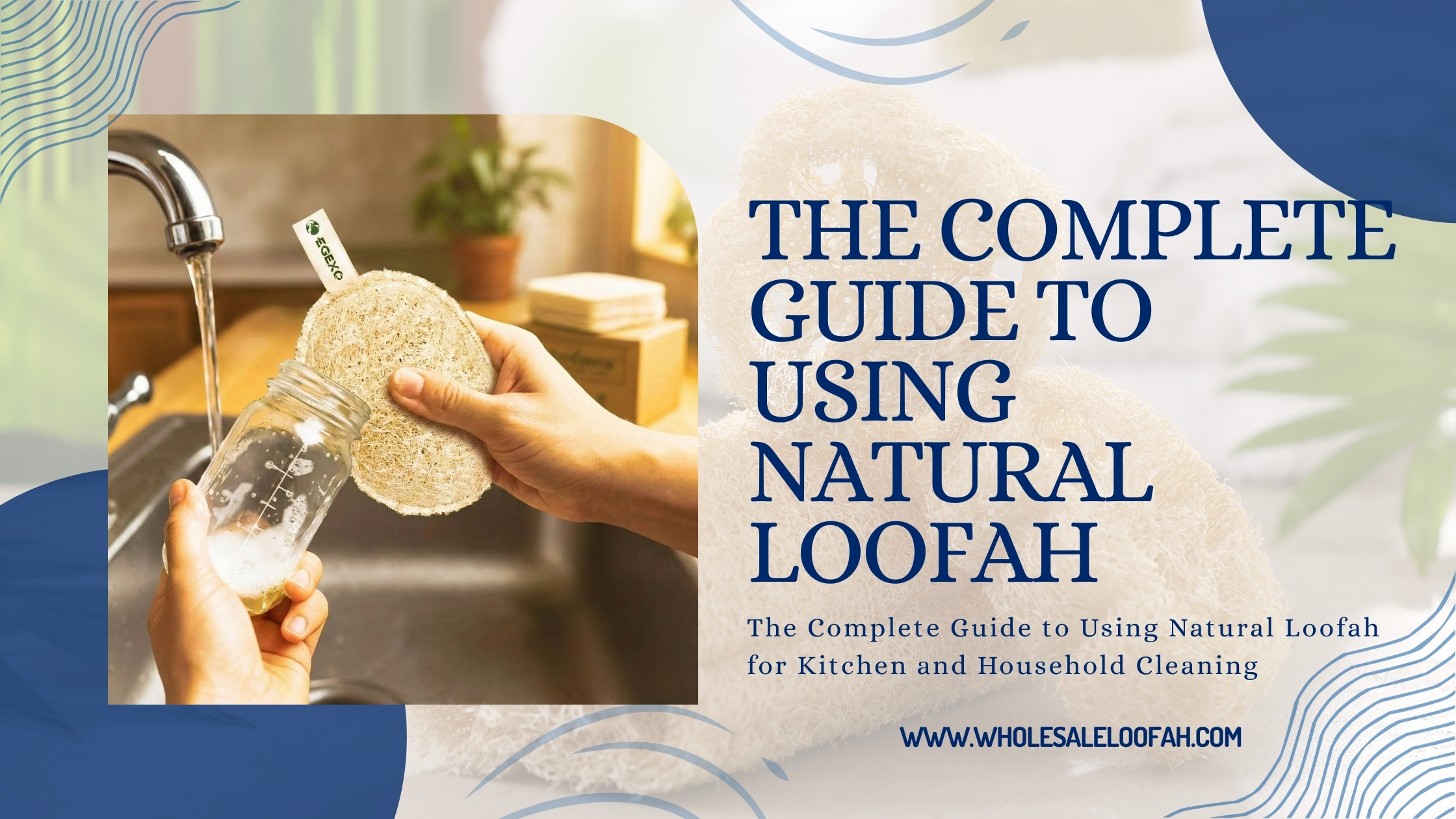 Natural Loofah for Kitchen & Household Cleaning | Wholesale Loofah Guide 2026