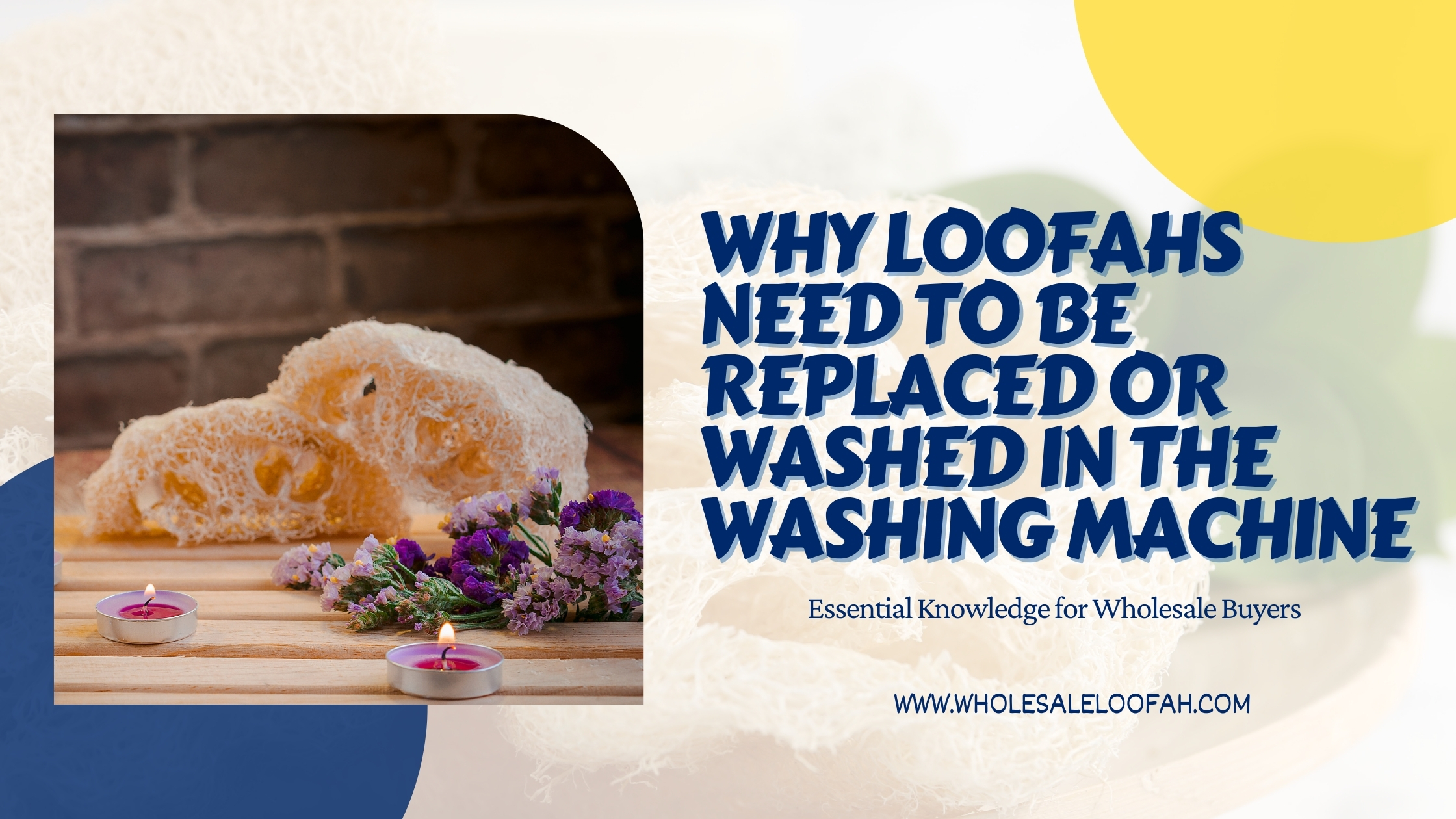 Why Loofahs Need to Be Replaced or Washed in the Washing Machine: Essential Knowledge for Wholesale Buyers 2 Wholesale Loofah Why Loofahs Need Replaced or Washed in Washing Machine | Wholesale Buyer Guide