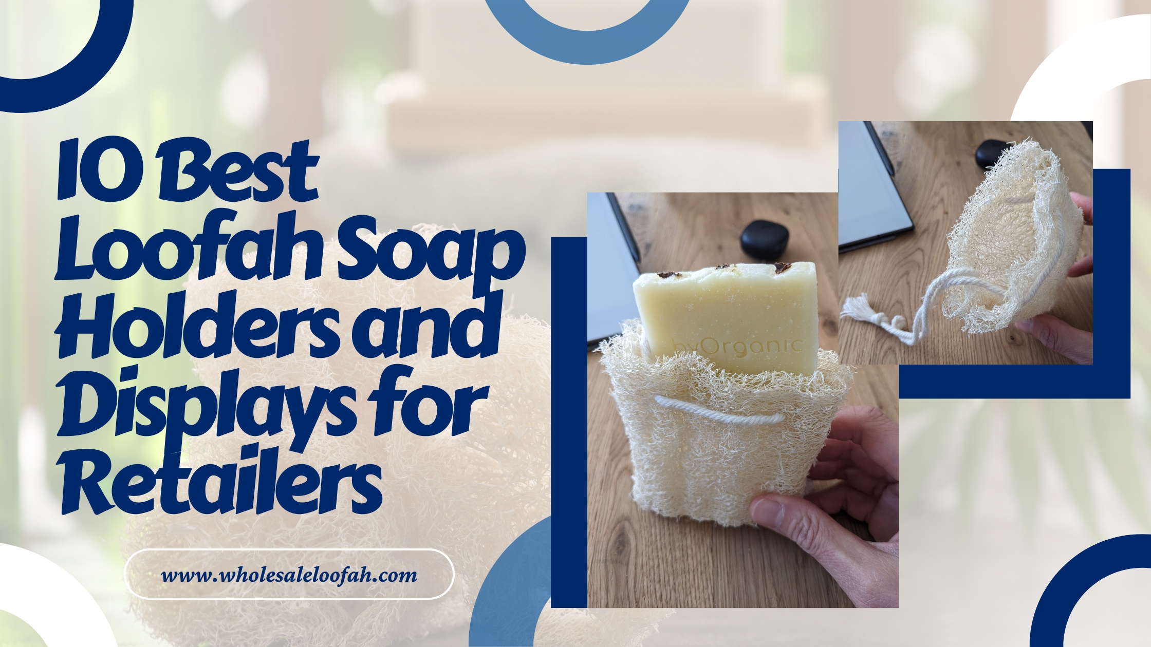 10 Best Loofah Soap Holders and Displays for Retailers 2 Wholesale Loofah Best Loofah Soap Holders for Wholesale Retail 2026 | WholesaleLoofah