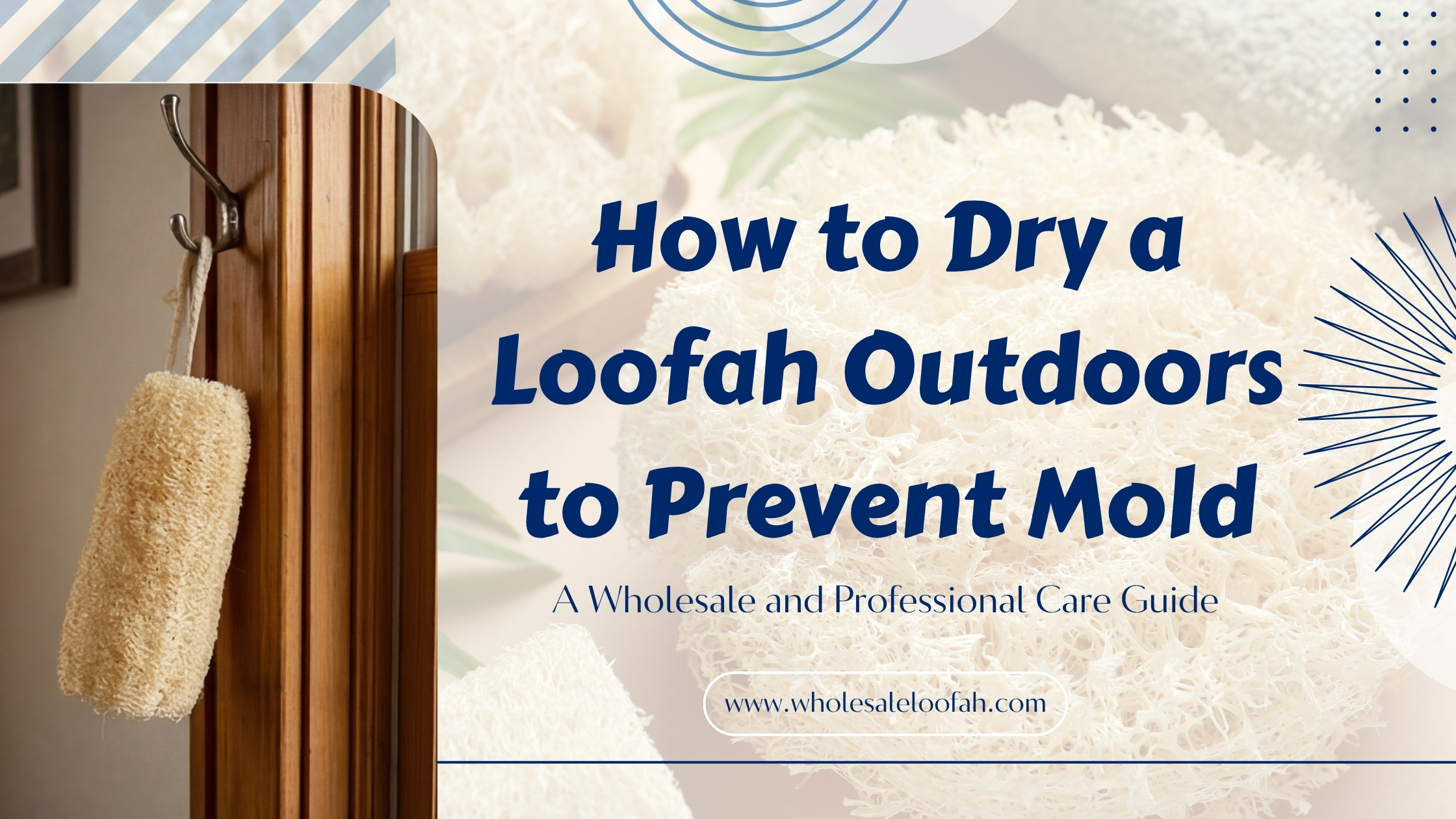 How to Dry a Loofah Outdoors to Prevent Mold: A Wholesale and Professional Care Guide 2 Wholesale Loofah How to Dry a Loofah Outdoors to Prevent Mold | Wholesale Guide 2026
