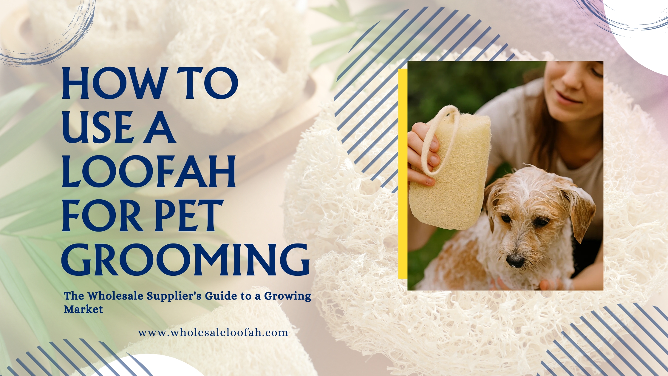 How to Use a Loofah for Pet Grooming | Wholesale Market Guide 2026