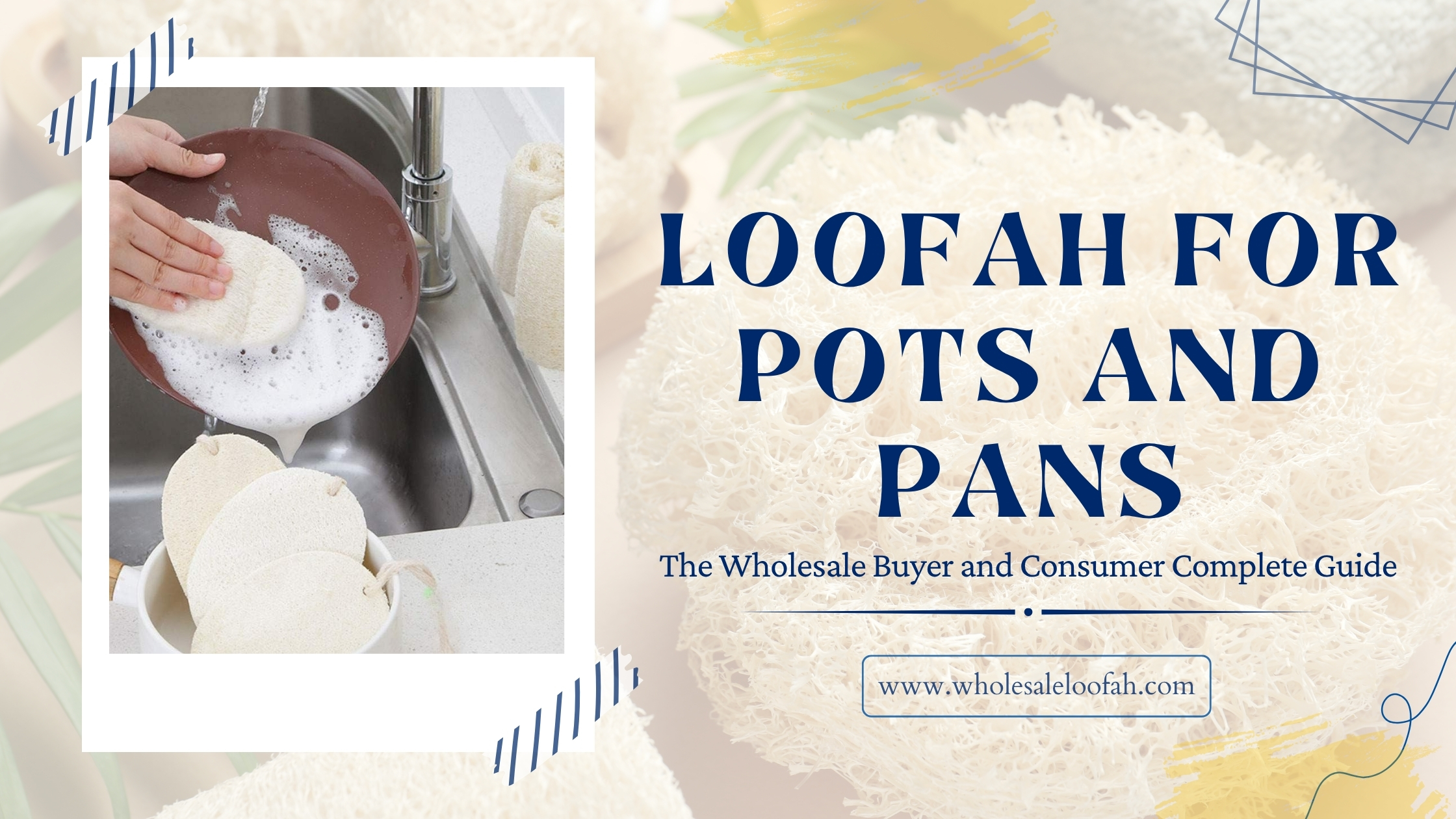 Loofah for Pots and Pans | Wholesale and Consumer Guide 2026