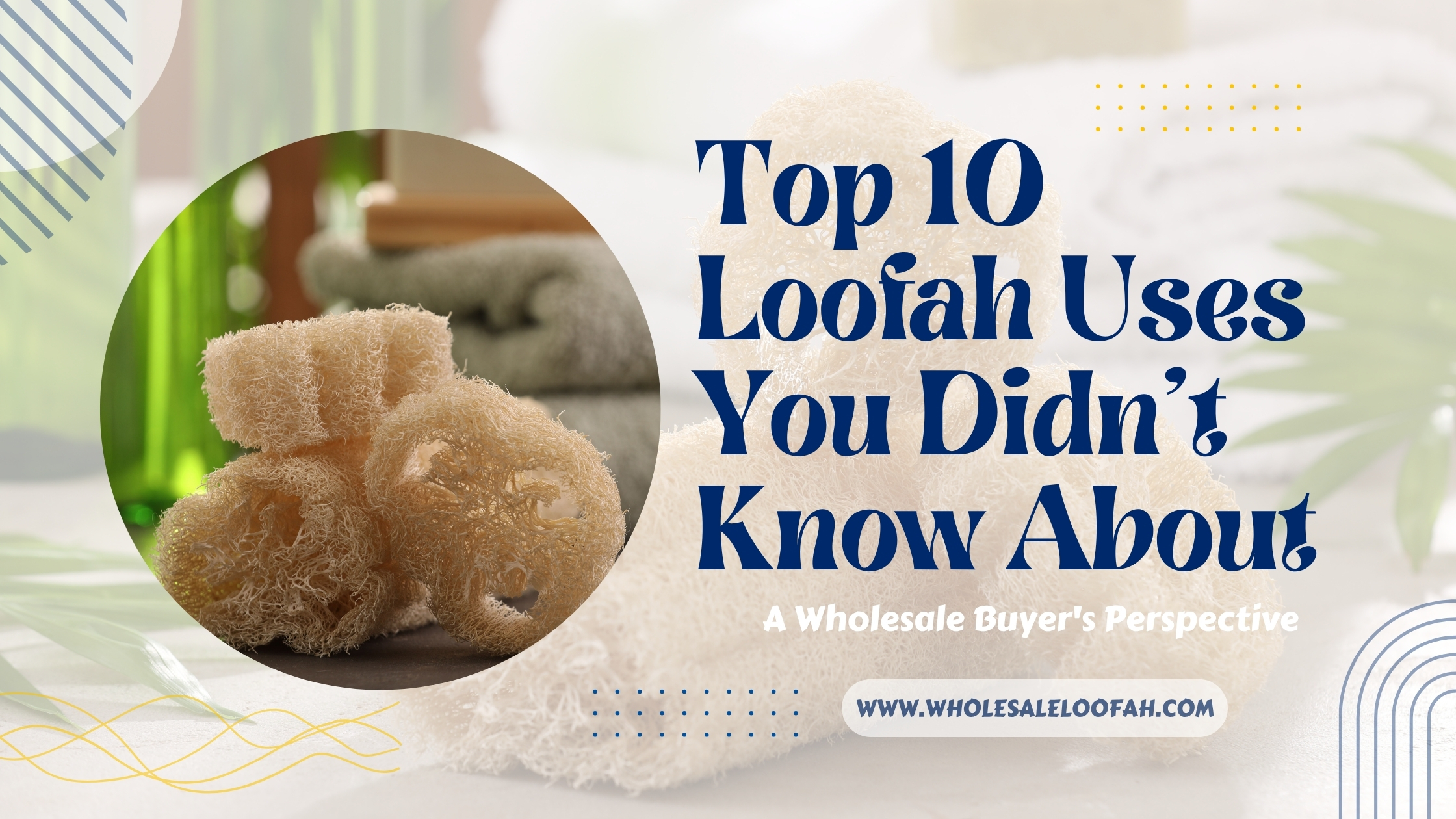 Top 10 Loofah Uses You Didn't Know About | Wholesale Guide 2026