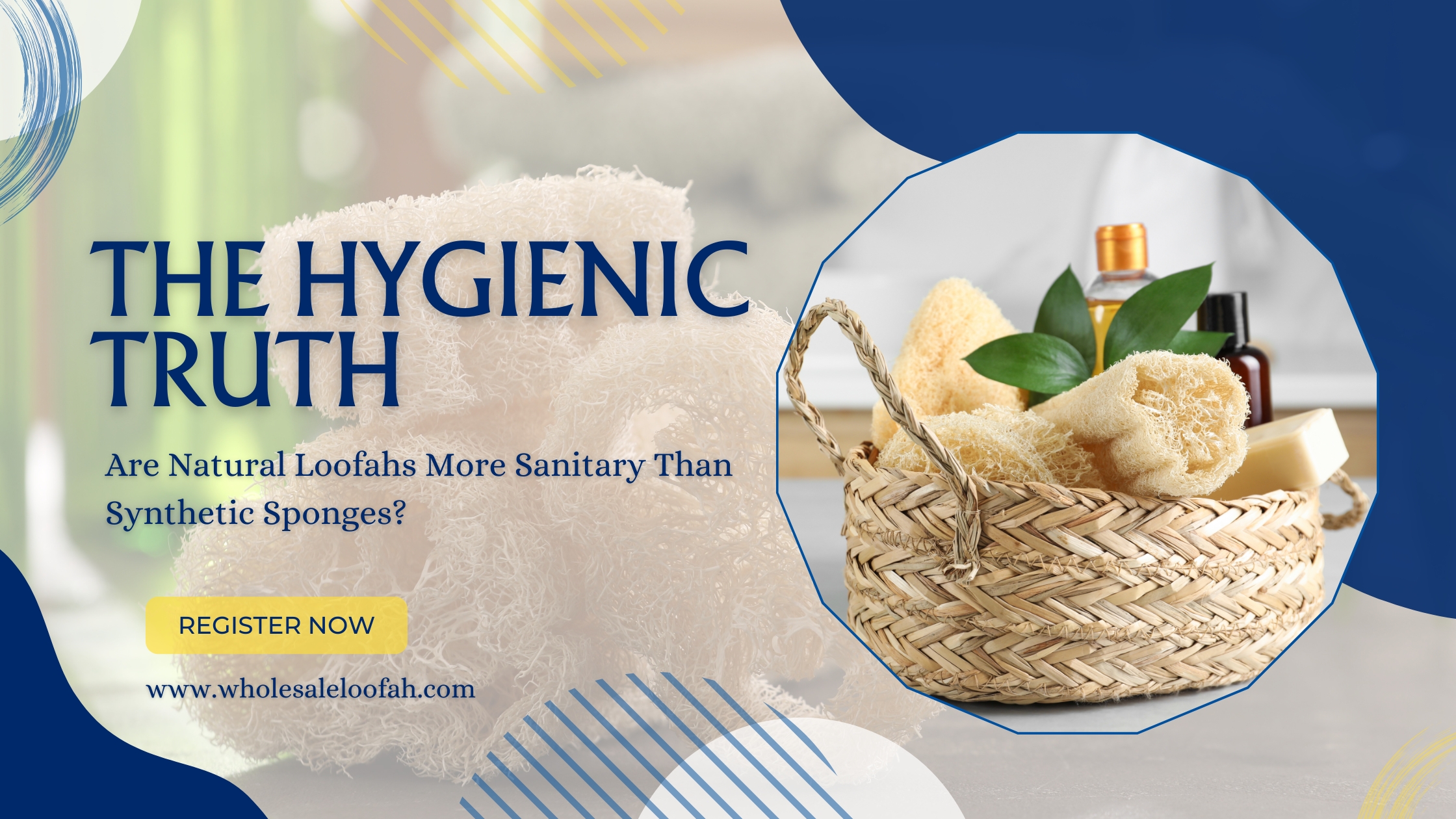 The Hygienic Truth: Are Natural Loofahs More Sanitary Than Synthetic Sponges? 1 Wholesale Loofah Are Natural Loofahs More Sanitary Than Synthetic Sponges? | Wholesale Guide 2026