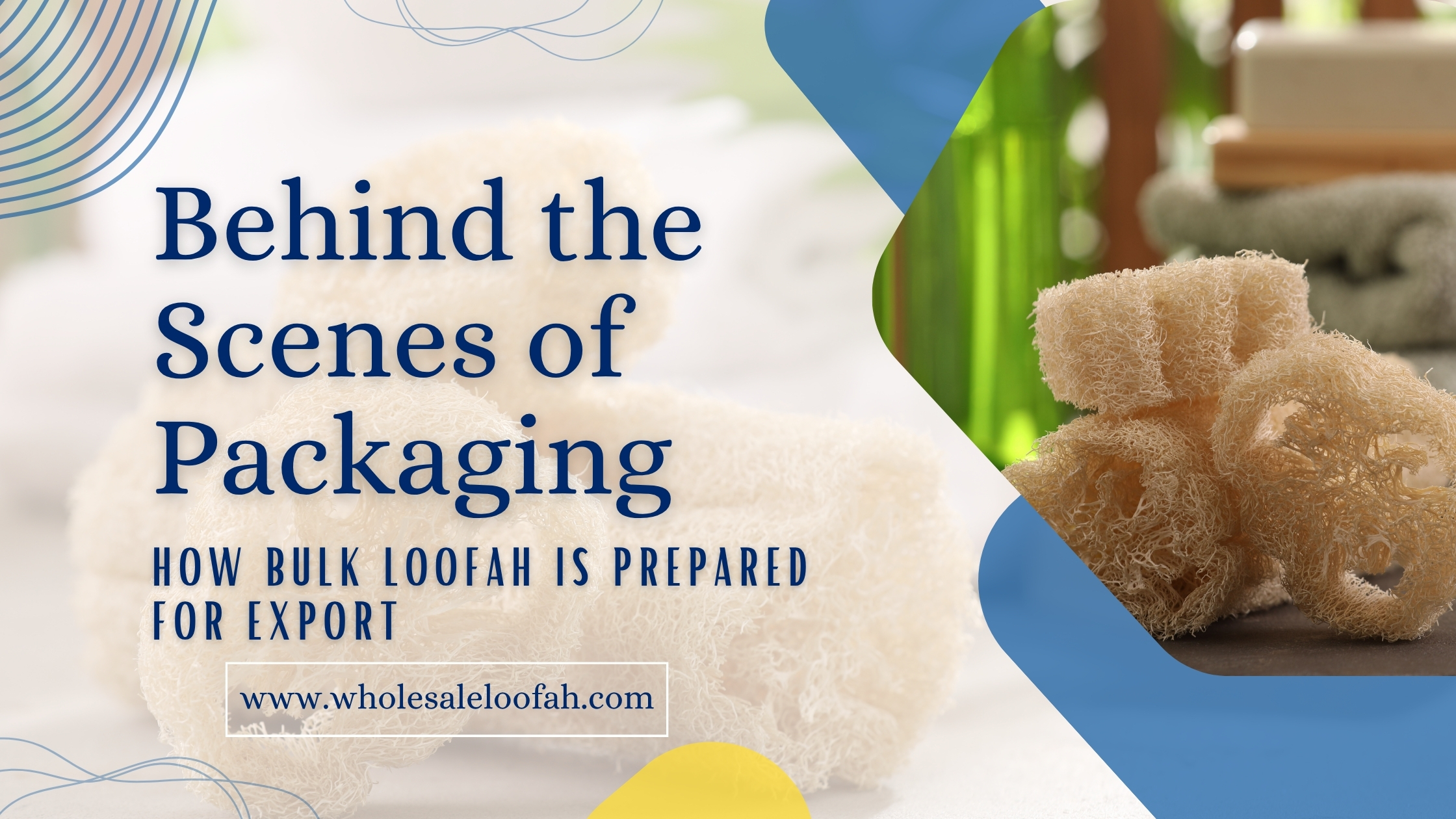 Behind the Scenes of Packaging: How Bulk Loofah Is Prepared for Export 2 Wholesale Loofah How Bulk Loofah Is Prepared for Export | Wholesale Guide 2026