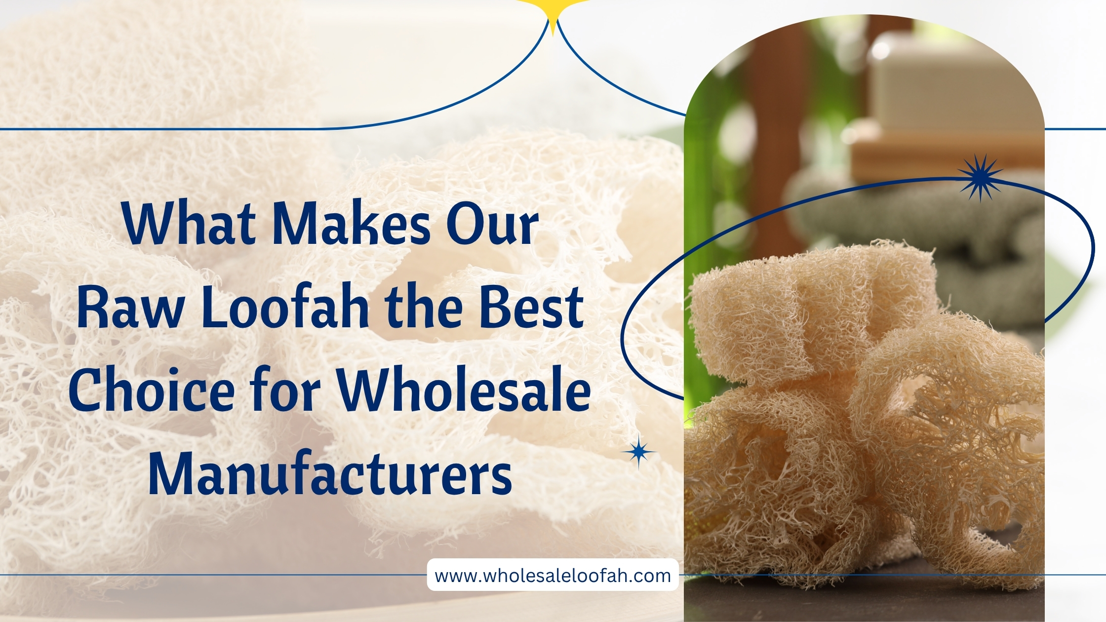 What Makes Our Raw Loofah the Best Choice for Wholesale Manufacturers 1 Wholesale Loofah What Makes Our Raw Loofah the Best for Wholesale Manufacturers | 2026